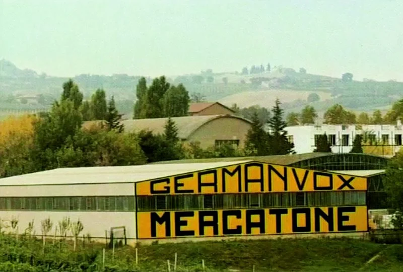 Le origini di Mercatone Germanvox