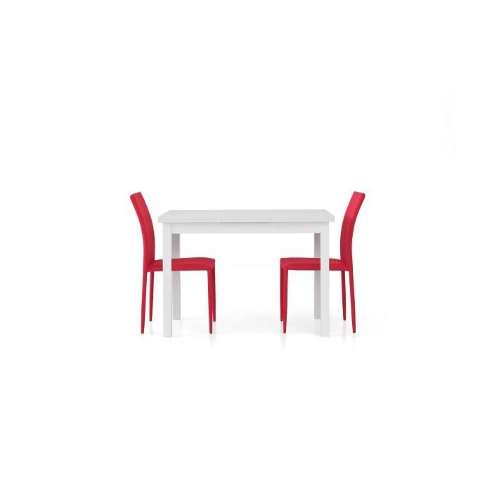 TAVOLO BIANCO FRASSINATO 130X80 + 2 ALL.40 - 555 main product photo