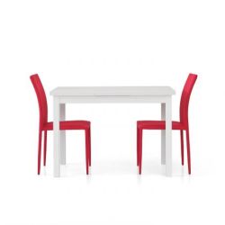 TAVOLO BIANCO FRASSINATO 110x70 + 2 ALL.40 - 558